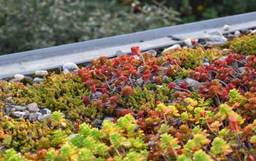 the cost of Lucton green roof installation