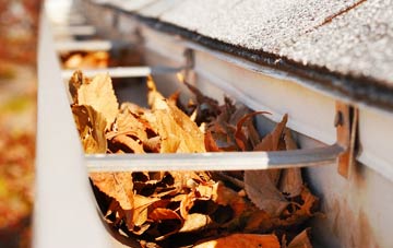 Lucton gutter cleaning companies