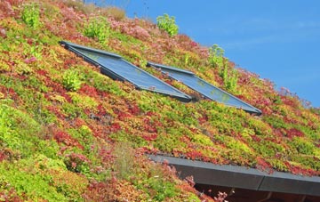 Lucton living roof systems
