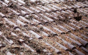 Lucton roof cleaning companies