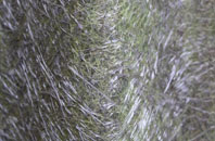 Lucton fibreglass roof work