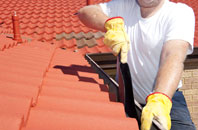 Lucton roof cleaners