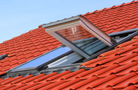 Lucton roof window